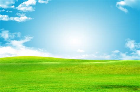 Blue Sky And Green Grass Landscape