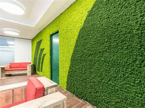 Evergreen Premium Moss Walls Moss Wall By Freund Gmbh