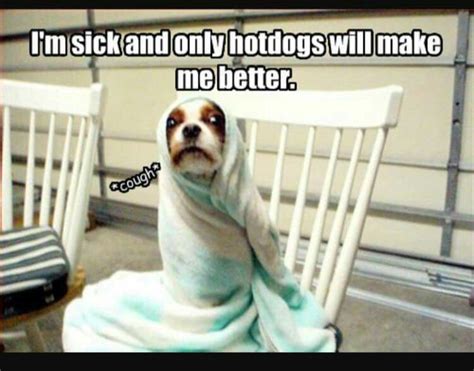 Pin By Michelle Johnson On Puppy Love Sick Dog Dog Memes Funny Dog