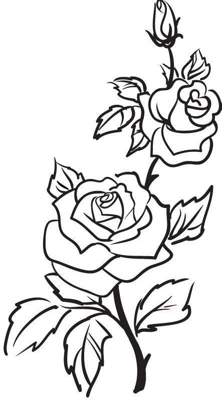 Rose Outline Two Roses Outline Rose Flowers Wall Stickers Art Decal 