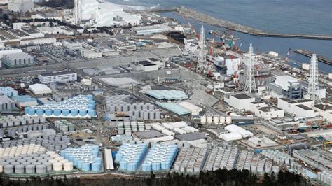 A report from the team leader. Video: Fukushima Nuclear Radiation Has Contaminated ENTIRE ...