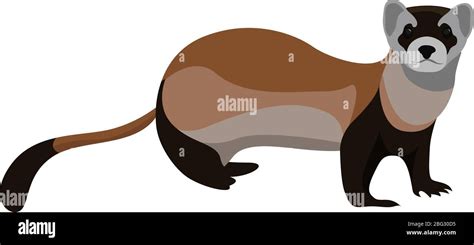 Weasel Animal Illustration Vector On White Background Stock Vector
