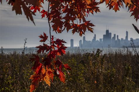 Fall Makes Its Way Into Chicago Chicago Tribune