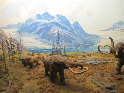 Natural History Diorama 001.JPG (1600×1200) | Natural history, History museum, Black history 