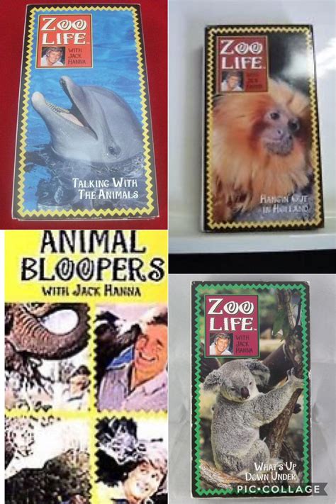 Zoo Life With Jack Hannah Vhs Rnostalgia