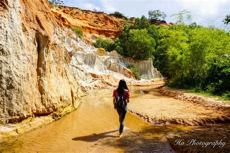 Fairy Stream Mui Ne A Walk Through Nature Expatolife