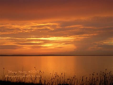 Fire Sky Sunset Very Orange By Stacy Ann Young Flickr Photo