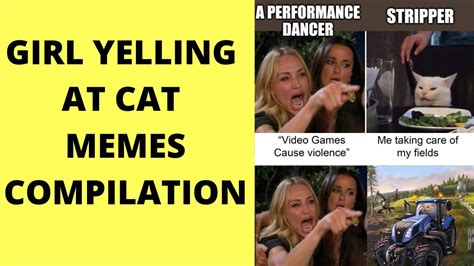 Woman Yelling At Cat Meme Video Games Captions Cute Viral