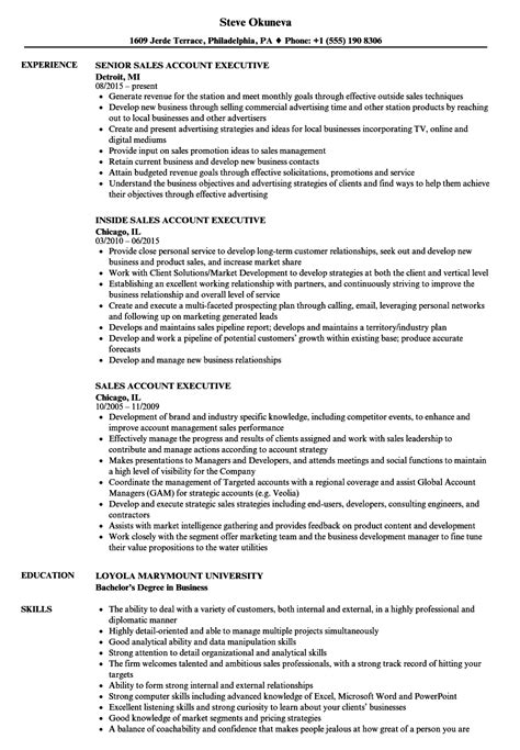 Check spelling or type a new query. Accounting Executive Resume Template | Mt Home Arts