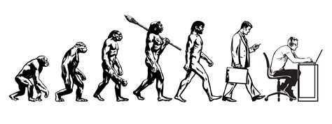 La Timeline Dell Evoluzione Dell Uomo Evoluzione Timeline Scienze