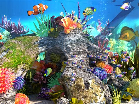 Aquariums Underwater World 3d Turbosquid 1638405