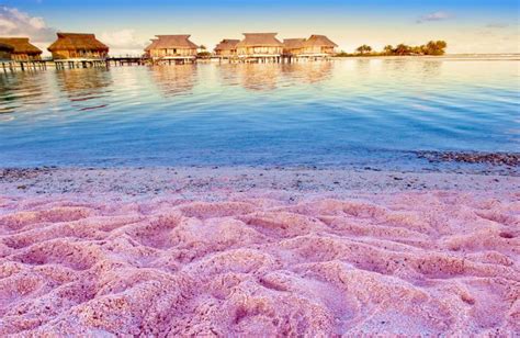 6 Stunning But Strange Colored Beaches Around The World Pink Sand