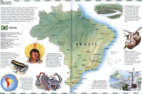 brazil detailed geographic map description of brazil nature climate population industry
