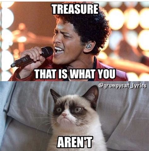 Grumpy Cat Sings Treasure By Bruno Mars Funny Grumpy Cat Memes