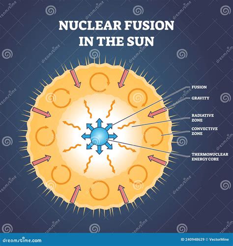 Nuclear Fusion In The Sun And Star Structure With Zones Outline Diagram