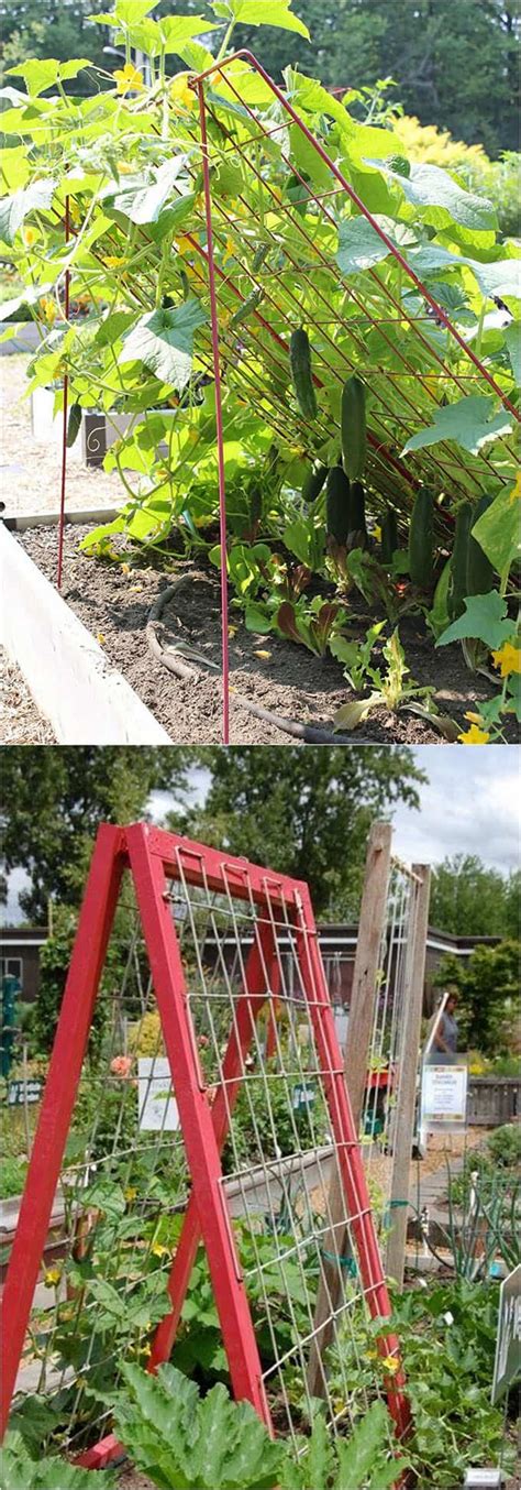 Wide green fence company cedar raised garden beds, creating a place for your plants to climb to new heights, and a barrier from unwanted critters. 21 EASY DIY GARDEN TRELLIS IDEAS & VERTICAL GROWING STRUCTURES