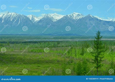Forest Sky Snowy Mountains Green Valley And River Siberian Alphs