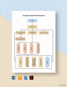 Emergency Department Flow Chart