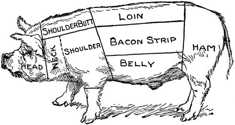 Ever wondered what part of the hog you're eating? Pig Diagram | ClipArt ETC