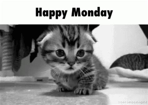 Monday Gifs For Those Who Hate Mondays