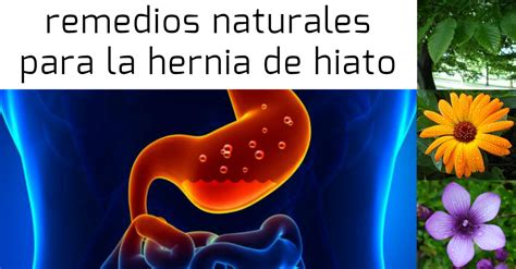 La Hernia De Hiato Y Algunos Remedios Naturales Para Combatirla 65205