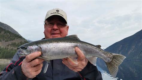Rainbow Trout Guided Fishing Trips In British Columbia Bc Fishing