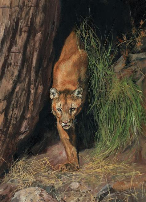 Mountain Lion Emerging From Shadows Painting By David Stribbling Fine