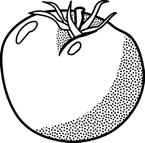 Kumpulan gambar hitam putih bw untuk diwarnai sumber : Tomat garis seni vektor grafis | Domain publik vektor
