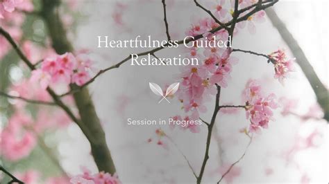 Heartfulness Guided Relaxation Youtube