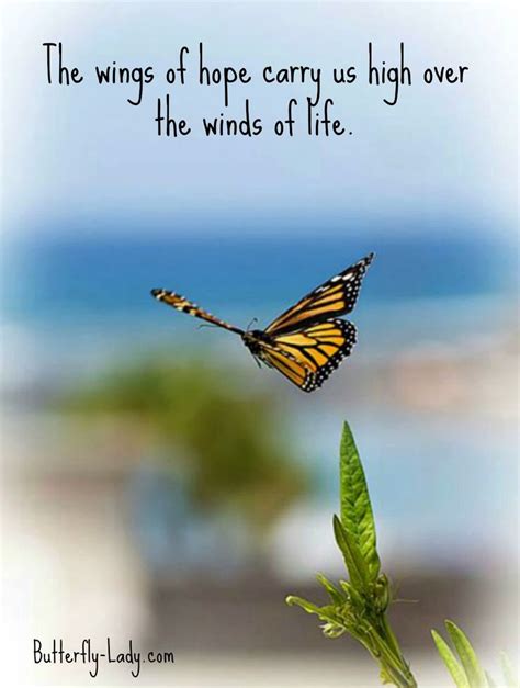 Best Butterfly Inspirational Quotes Rosita Luther