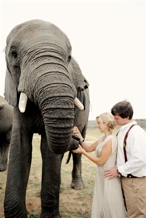 South African Safari Wedding With Elephants Popsugar Love And Sex Photo 36