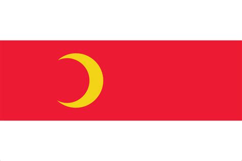 Vlag Doesburg Vlaggen 50x75cm Voordelig Kopen Bij Vlaggenclub