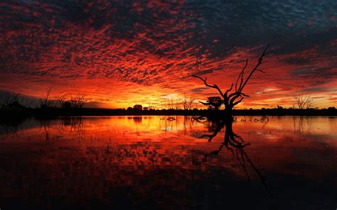 Sunset Lakes Nature Earth Landscapes Trees Water Clouds Colors Orange