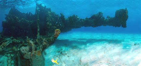 Swimming Snorkeling And Diving Dry Tortugas National Park Us