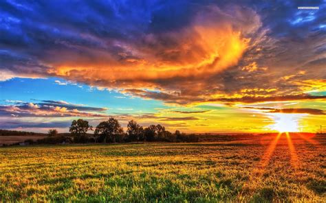 Sunset On The Prairie Field Tree Grass Sky Cloud Nature 1920×1200