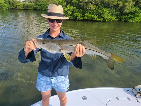 Backcountry Snook Fishing In Tampa Bay