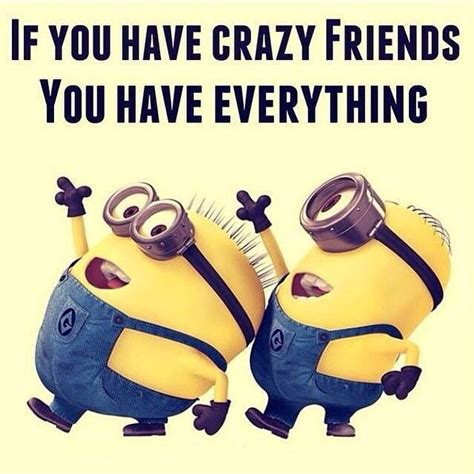 If You Have Crazy Friends You Have Everything Minions Crazyfri