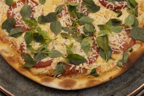 Brazilian Pizza With Pepperoni Cheese And Arugula Stock Photo Image Of