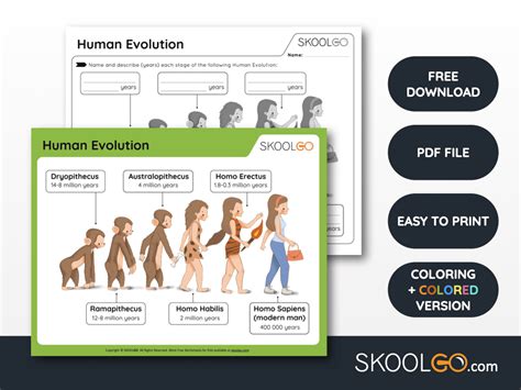 Human Evolution Free Worksheet Skoolgo