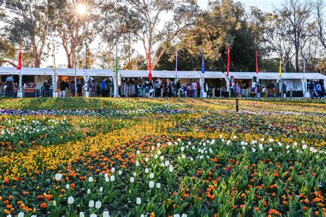 10 Tips For Visiting Floriade Flower Festival In Canberra
