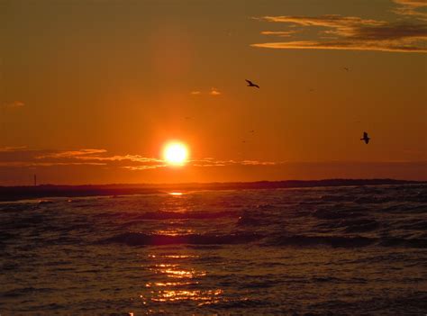 Ilmaisia Kuvia Ranta Meri Rannikko Valtameri Horisontti Aurinko