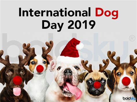 International Dog Day 2019 History And How To Celebrate This Day