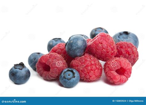 Fresh Berries Isolated Stock Photo Image Of Health Food 15085924