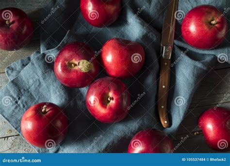 Red Organic Macintosh Apples Stock Photo Image Of Apple Macintosh