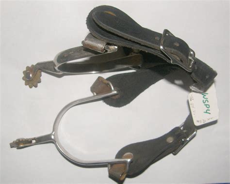 This year's san antonio spurs are an anomaly. Western Spurs Page 1