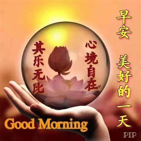 Good Morning Chinese Greetings Wisdom Good Morning Quotes