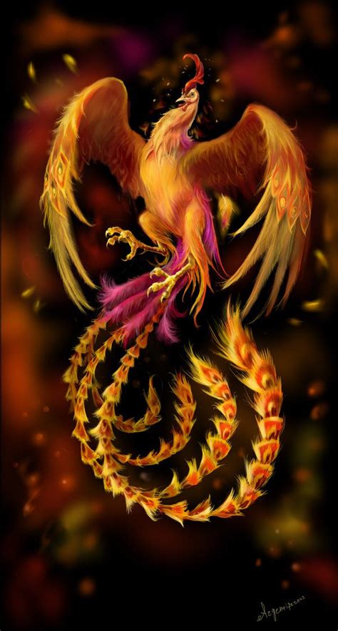 Flaming Phoenix Phoenix Bird Phoenix Wallpaper Phoenix Art