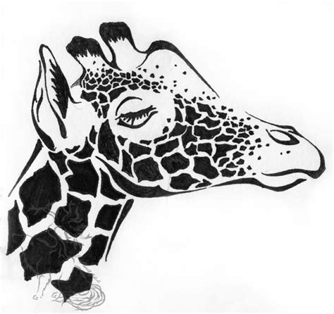 Giraffe Head Drawing Free Download On Clipartmag