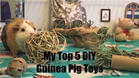 10 Diy Guinea Pig Toys