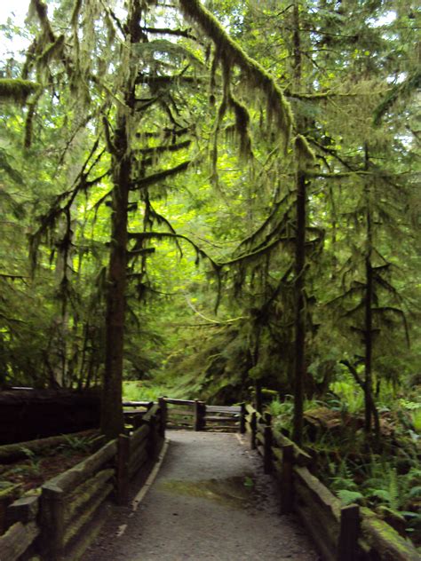 Cathedral Grove Vancouver Island Easy Stop At The Side Of The Road